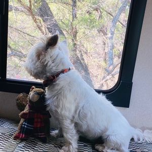 Meet your Posher, Lindsey